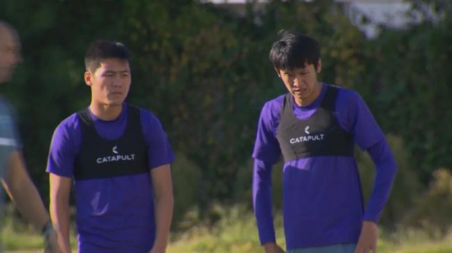 成年男女拍拍拍免费视频